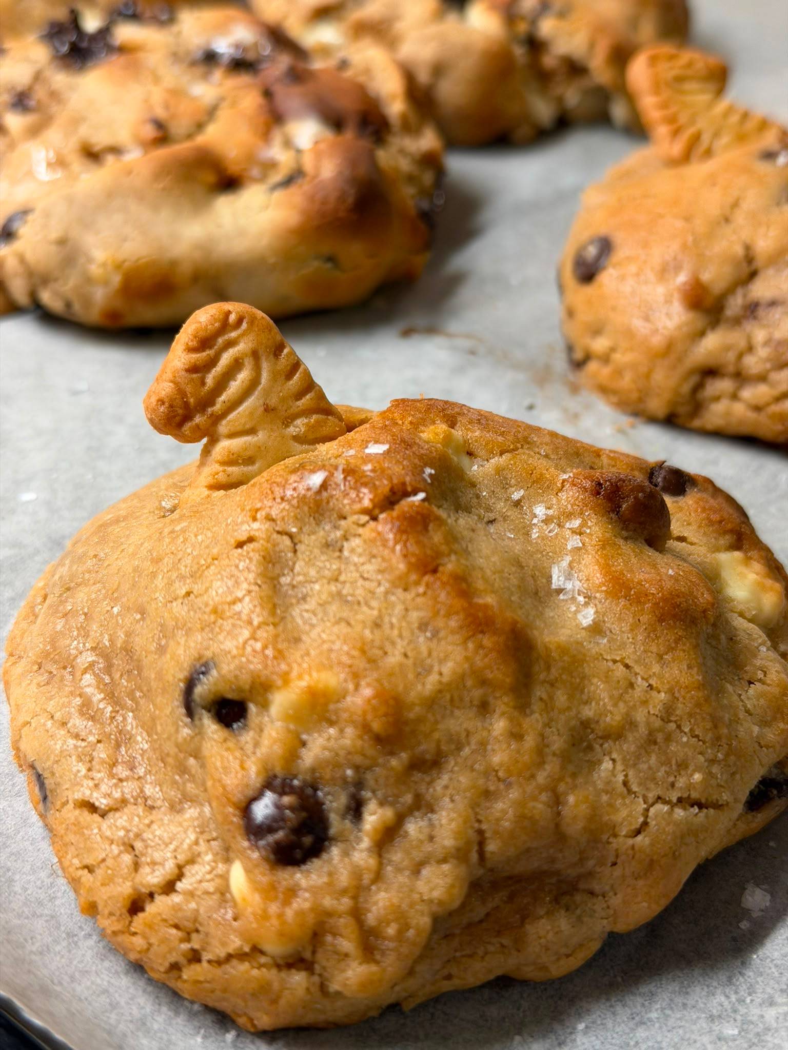 Jurassic Cookie